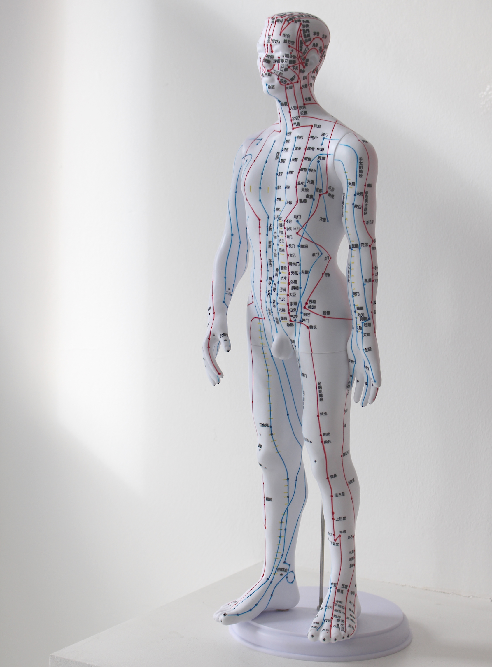 Figure representing acupuncture points